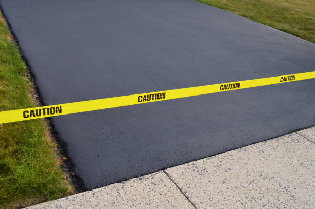 Best Driveway Drainage Solutions in Wanatah, IN